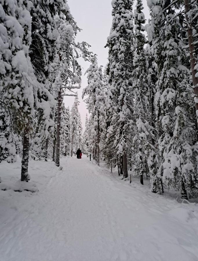 Apartment Naavis Rovaniemi Luaran gambar